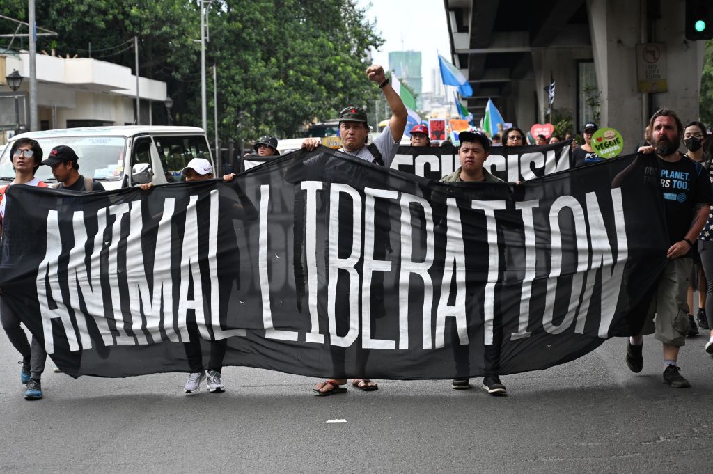 Historic Timeline of the Animal Rights Motion