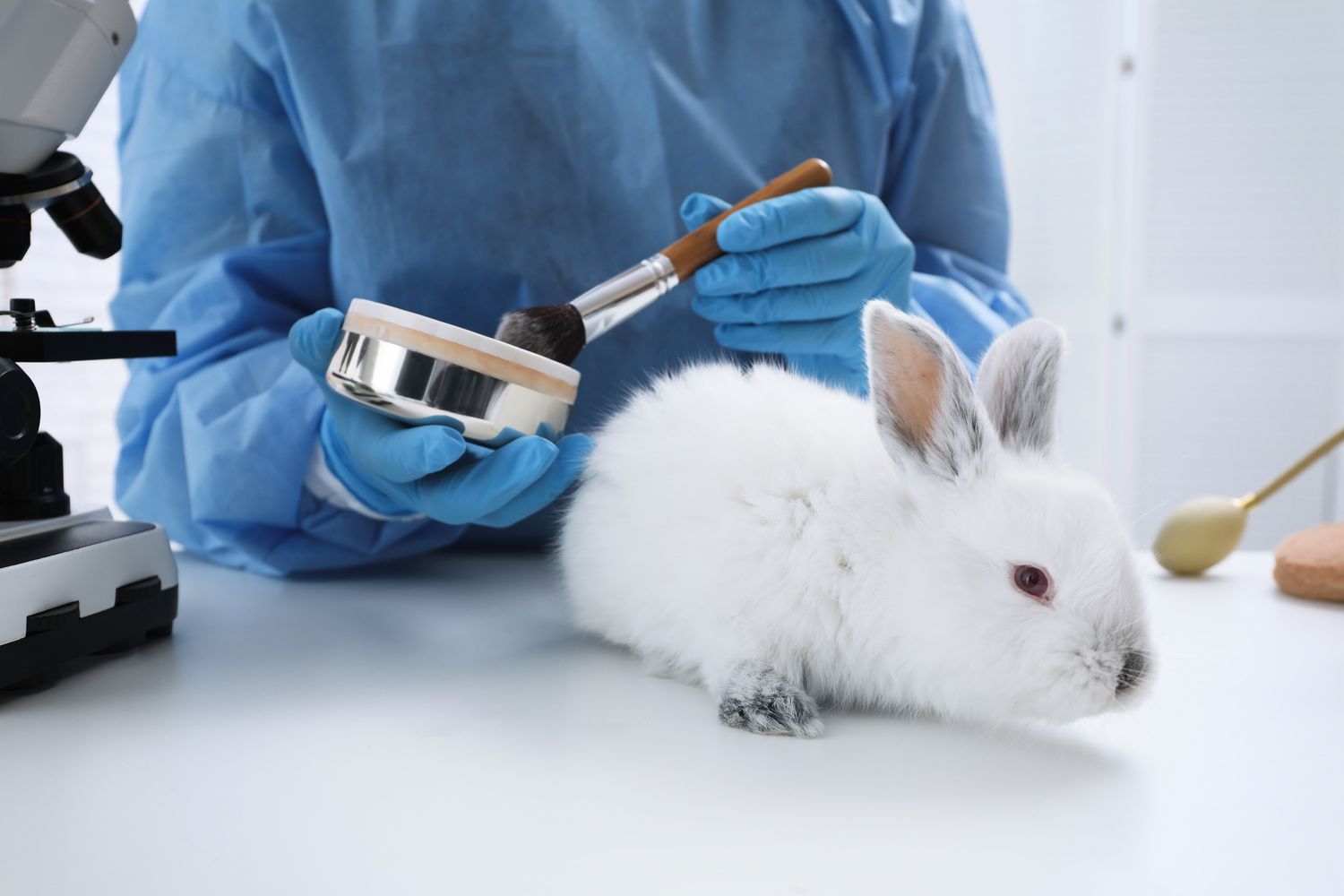 All the pieces You Must Know About Animal Testing for Cosmetics