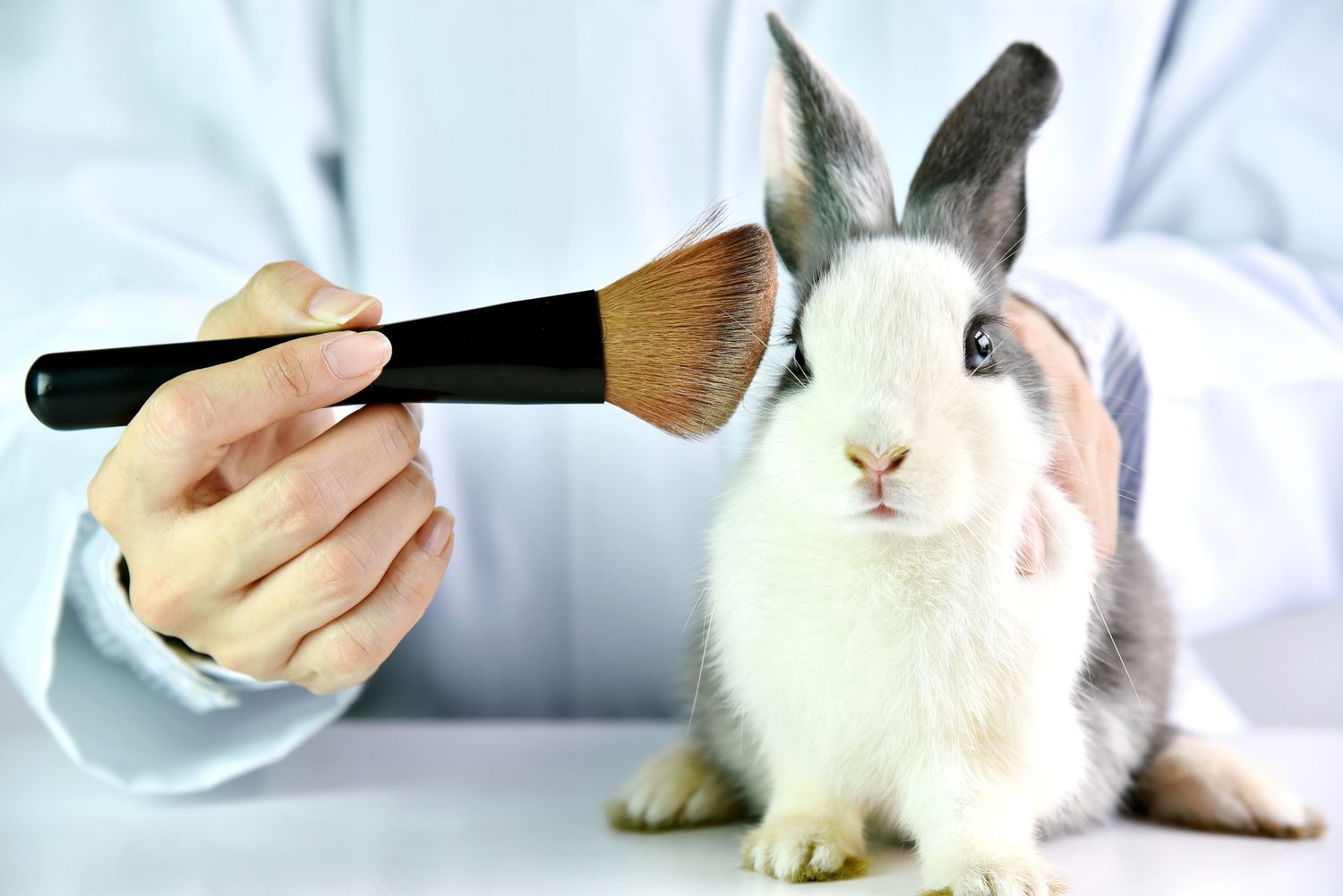 Alternate options to Animal Testing in Cosmetics