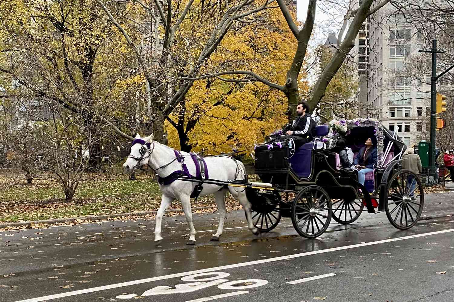 It is Past Time to Ban Horse-Drawn Carriages in New York Metropolis